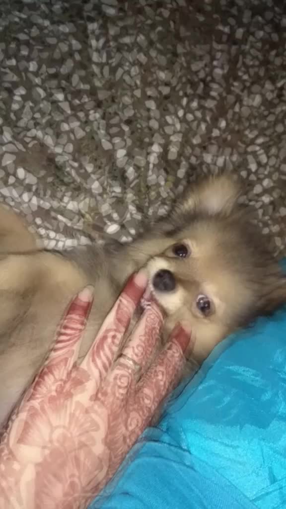 @cute😍