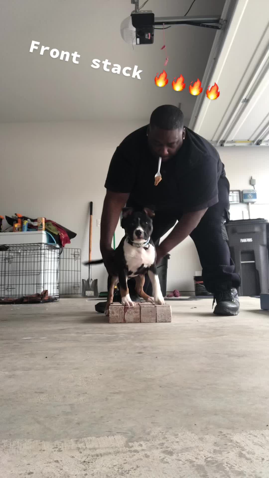 @Scooterzbullyz LLC