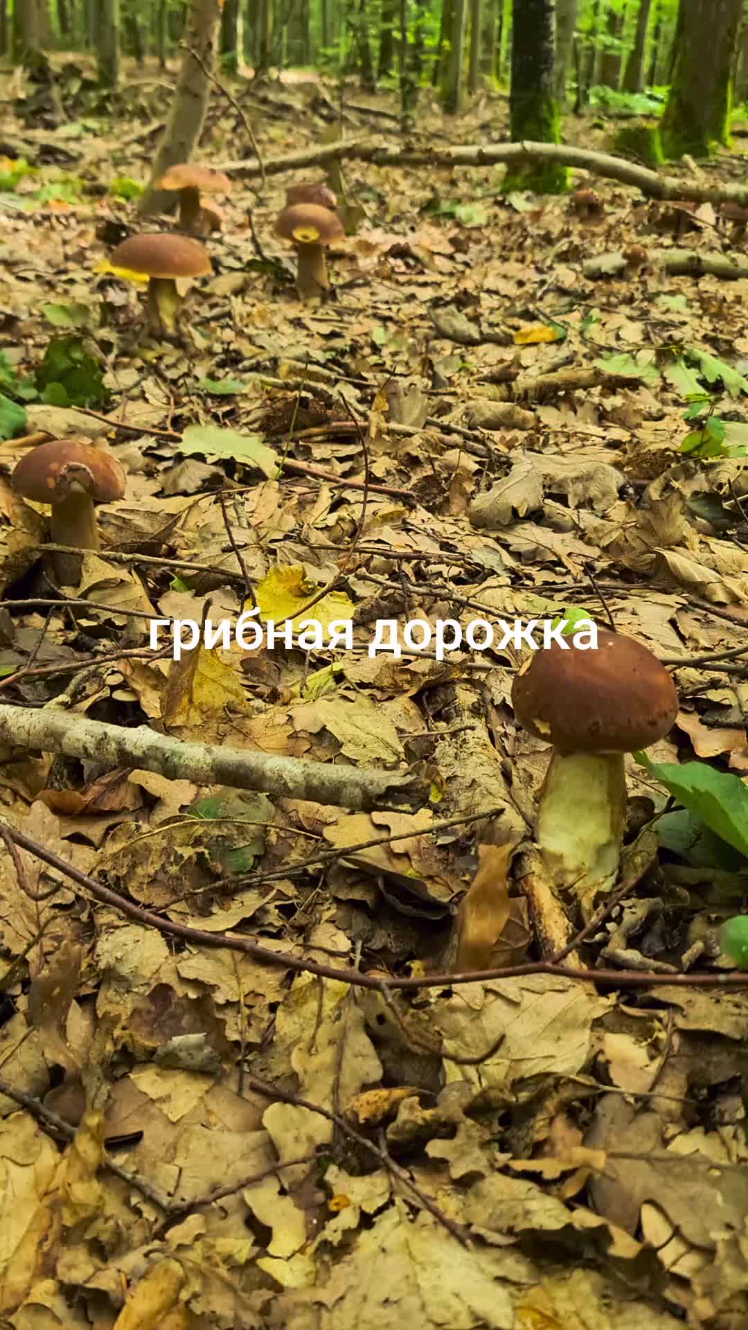 @Irina.fr1