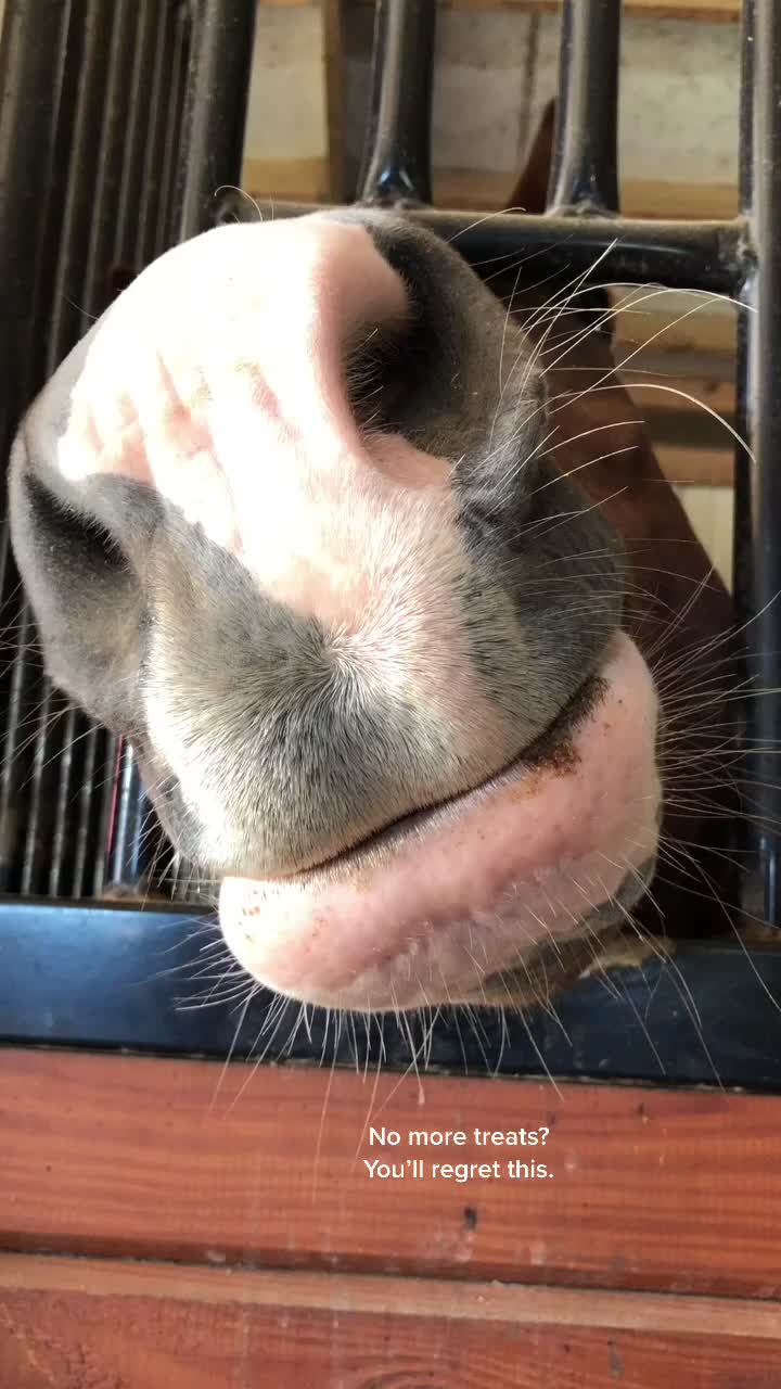 @Chunky Pony
