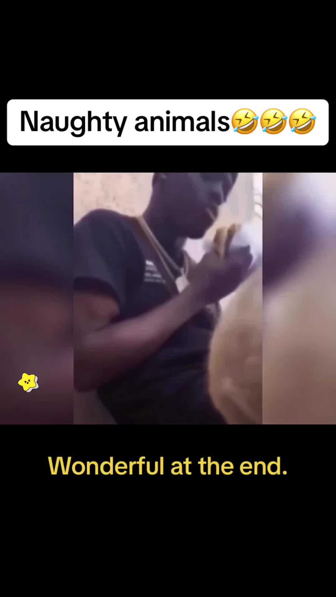 @Cute Pets😻