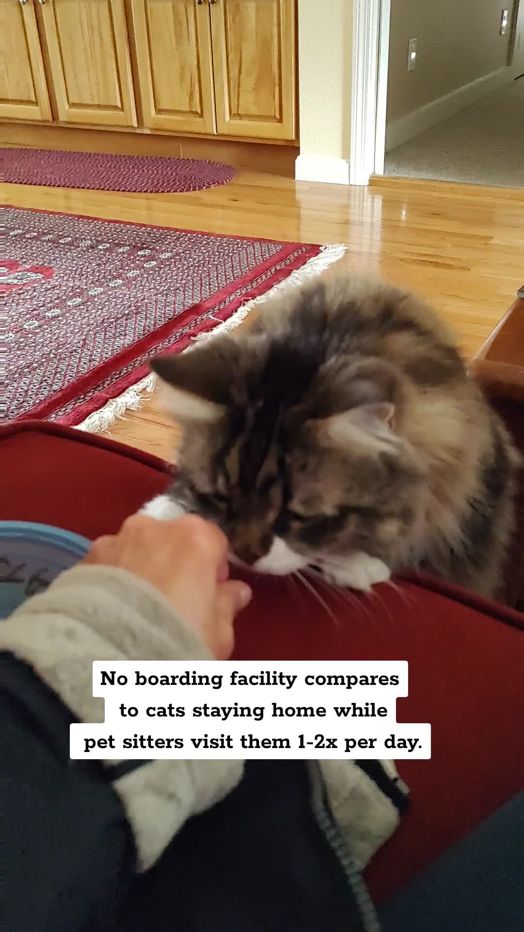 @TeachersPetSitting
