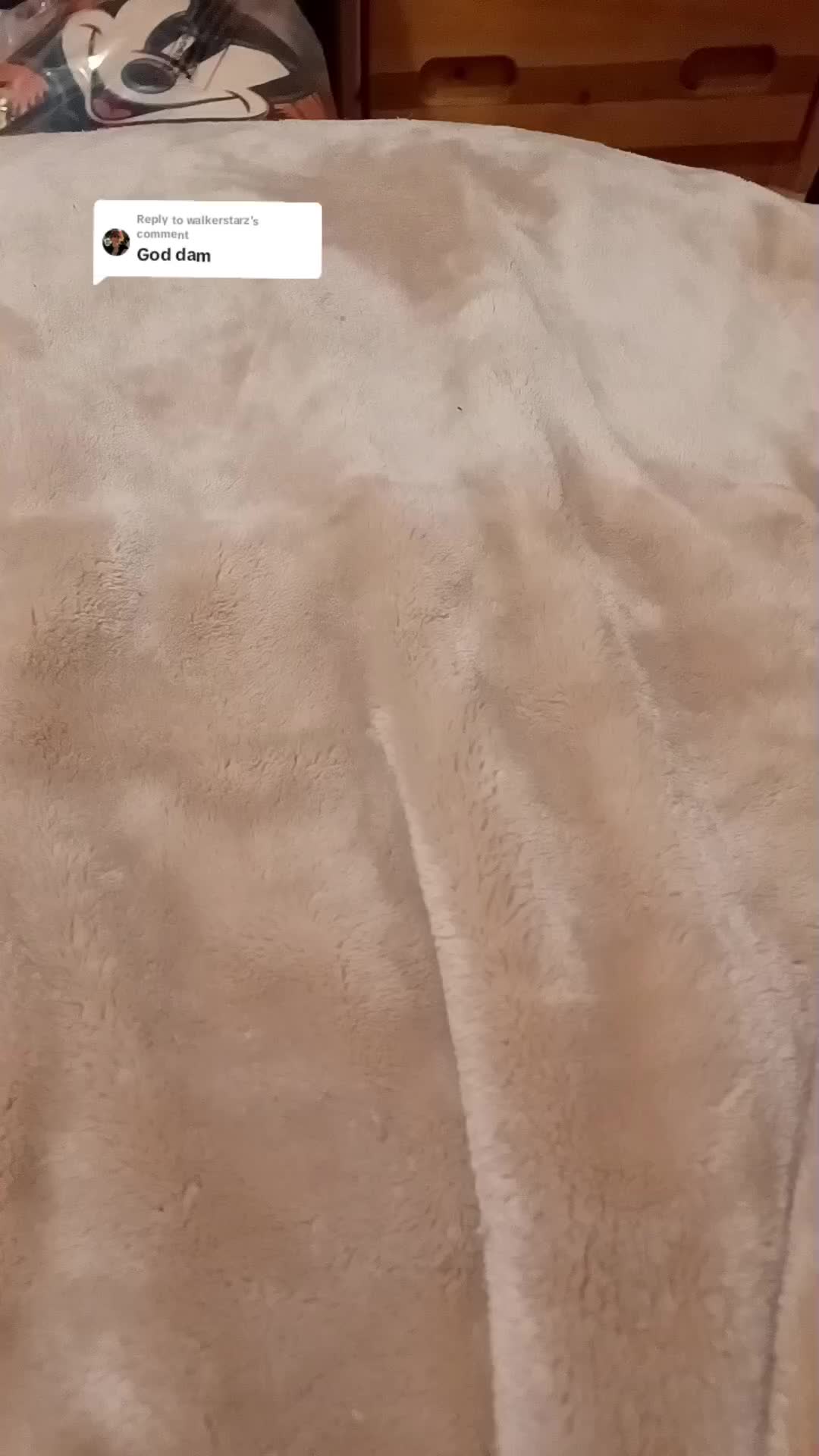 @ArcherOwl
