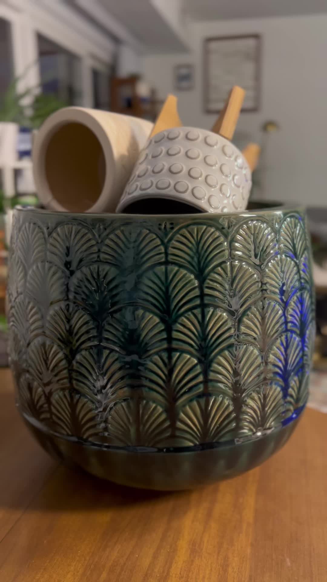 @Tiny Plants
