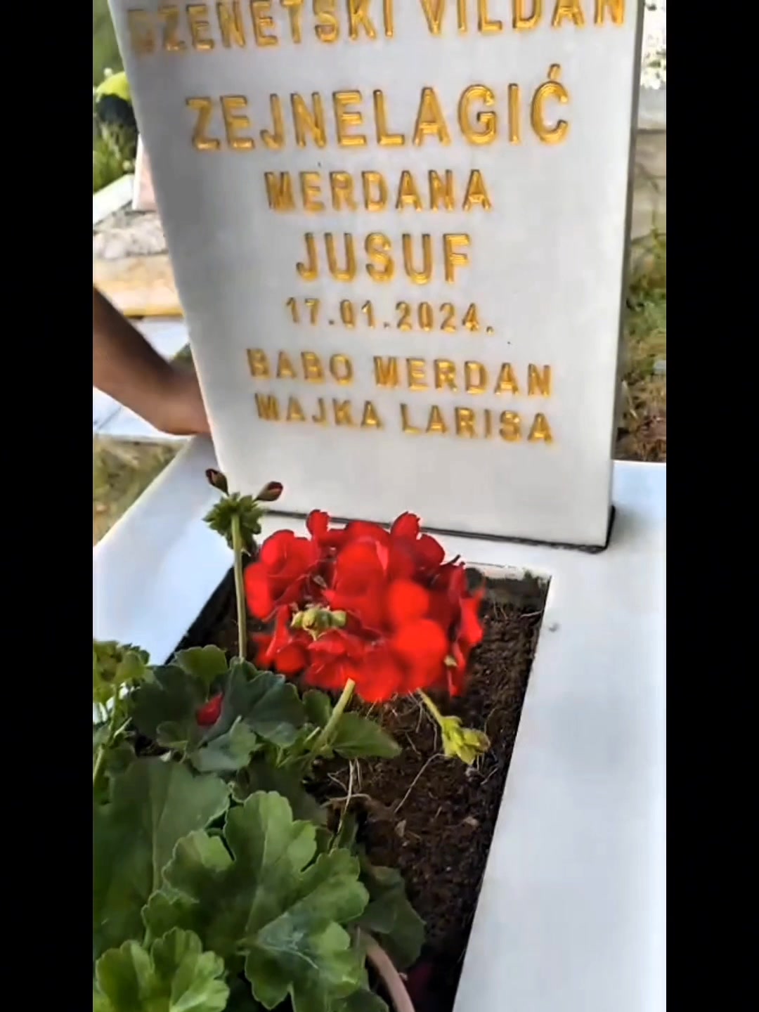 @Merdan Larisa Zejnelagić
