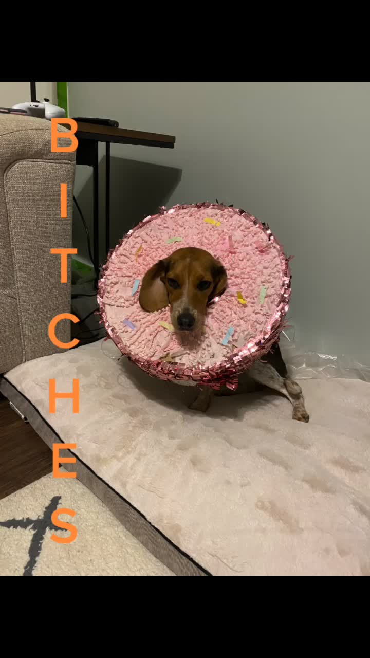 @Patrick