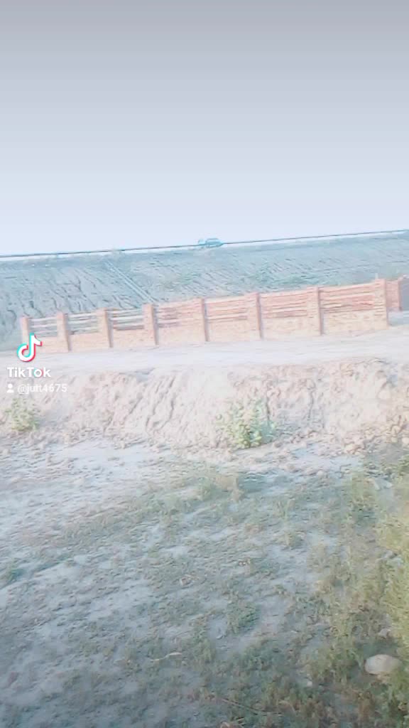 @Hamid Jutt3593