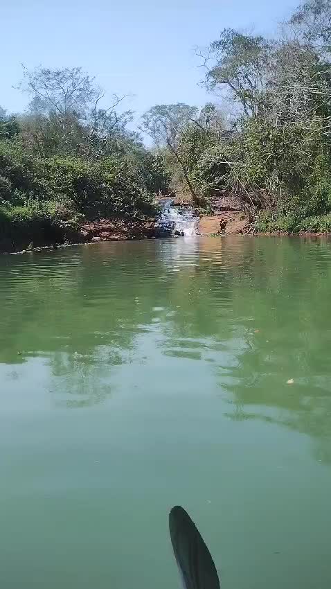 @Maiara