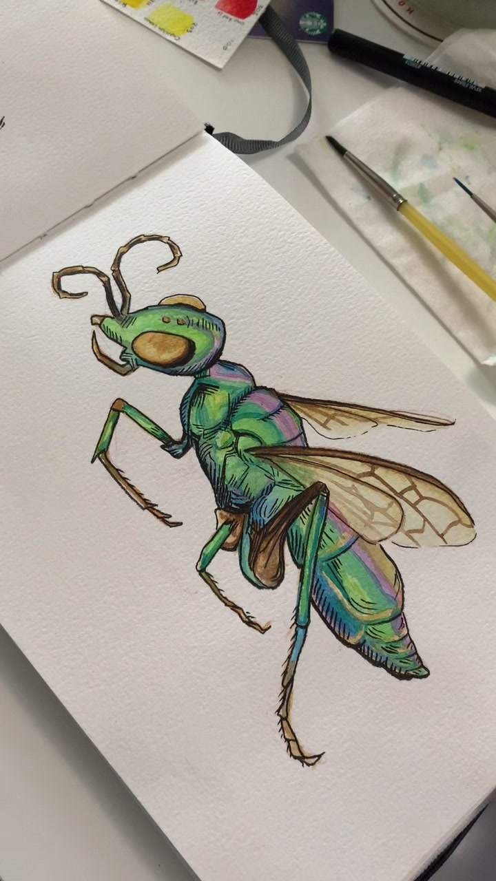 @poptortstudio