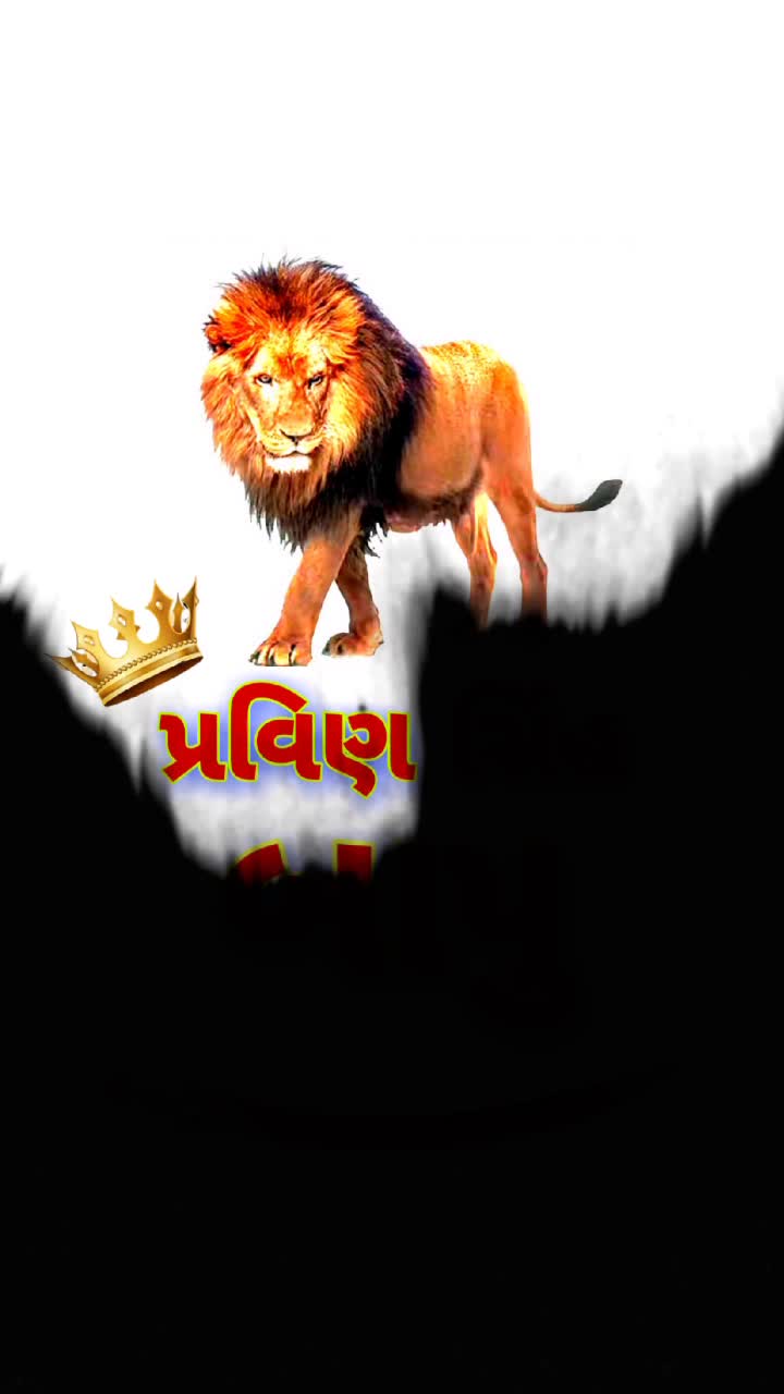 @Vaghela.Kalpesh