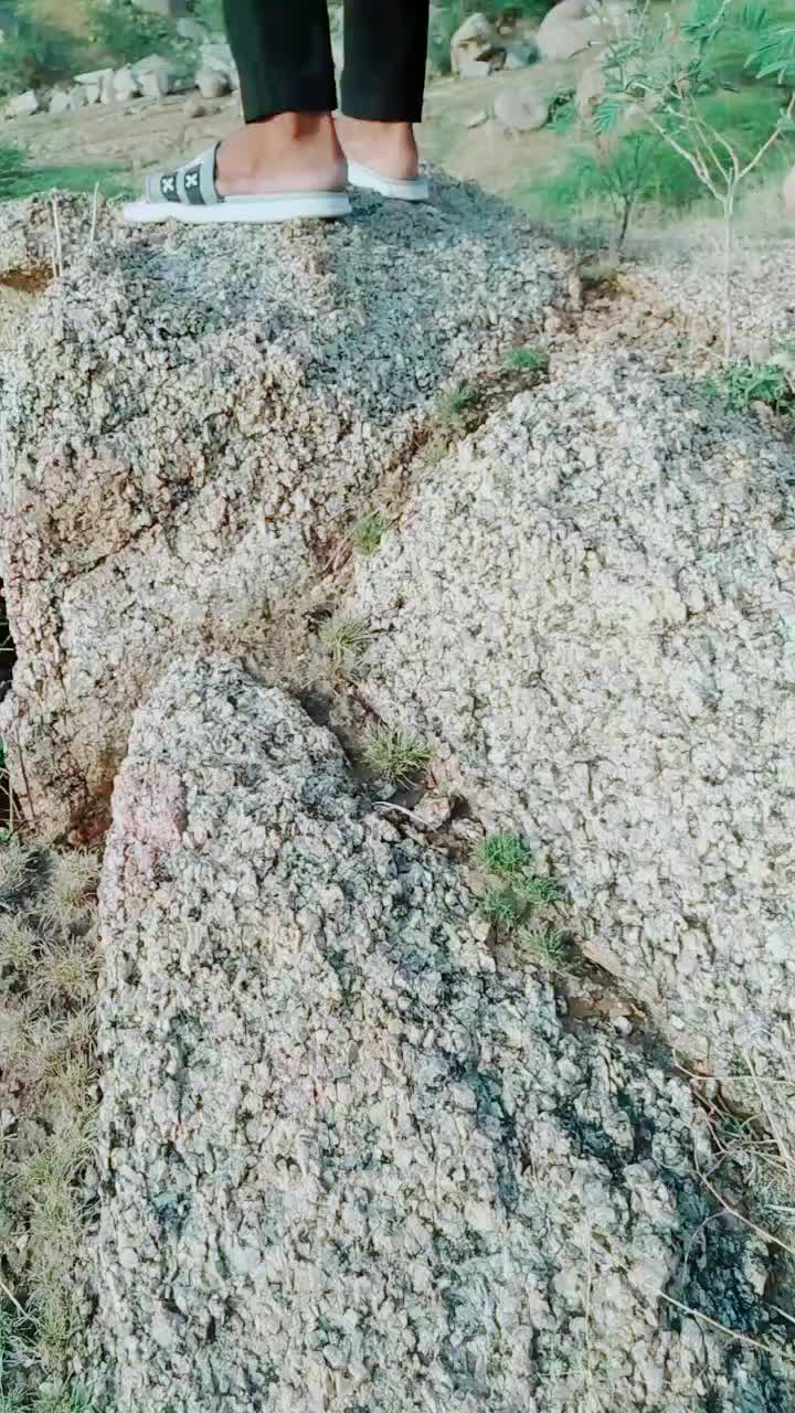 @MUKESHRAJPUROHIT