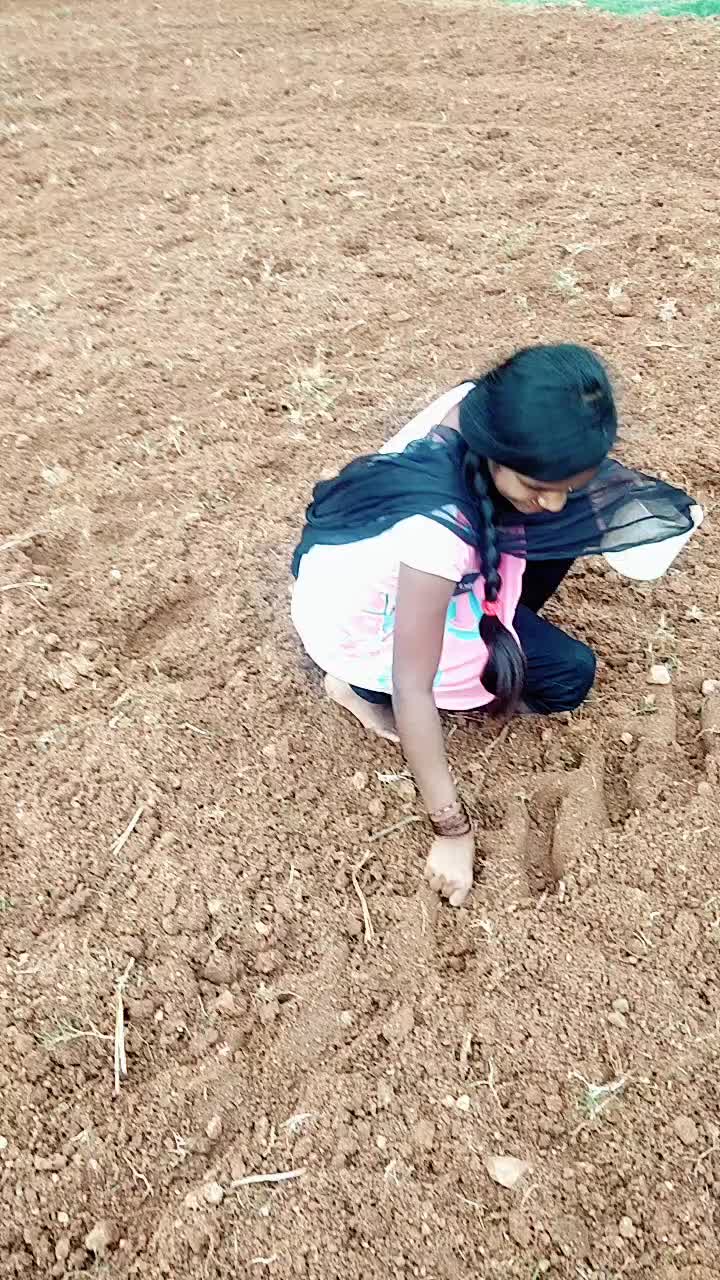@user4516126512326