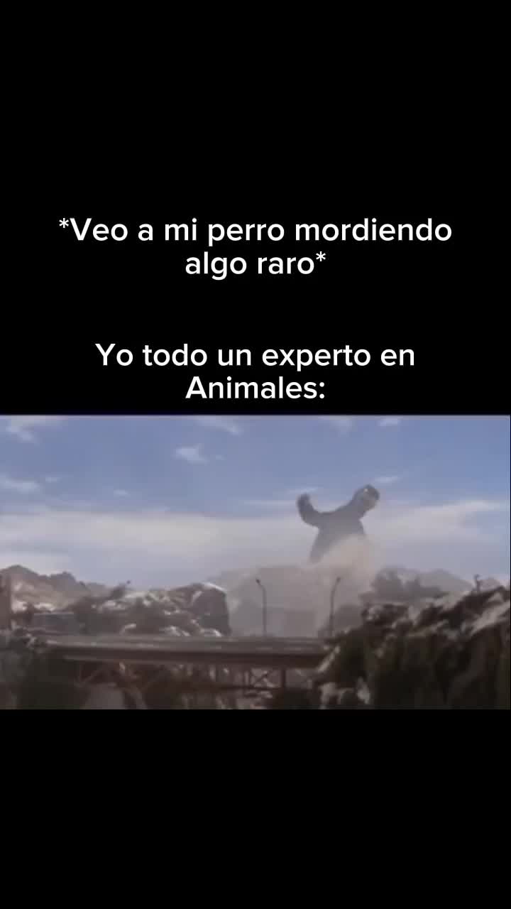@zterrs