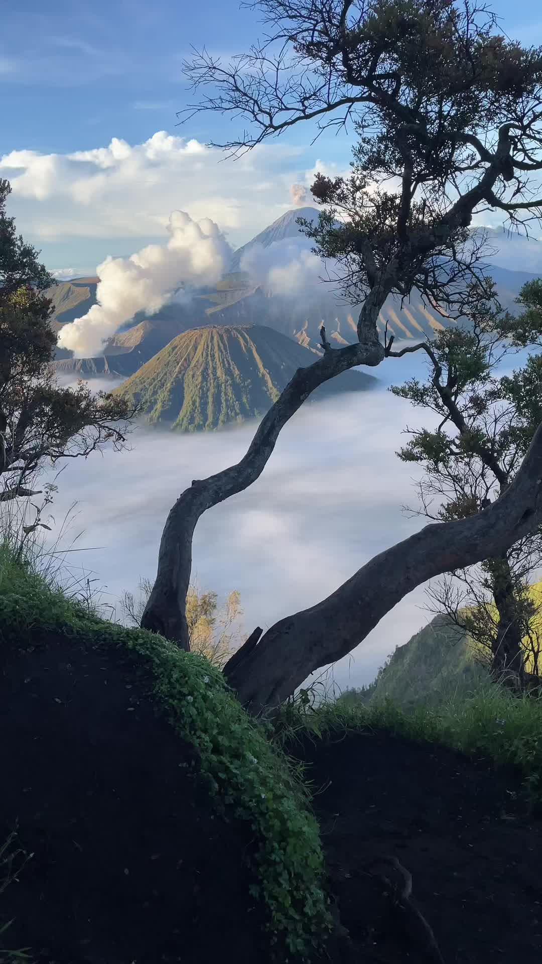 @Bromojuara