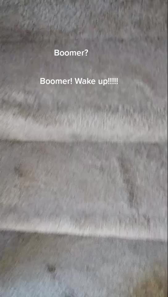 @BOOMER