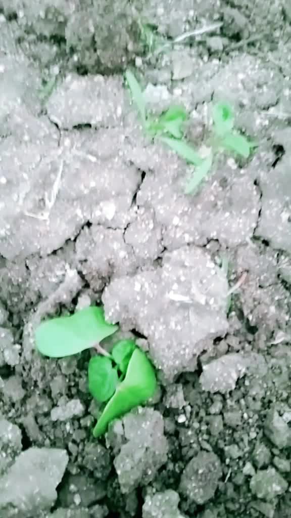 @Naresh yadav