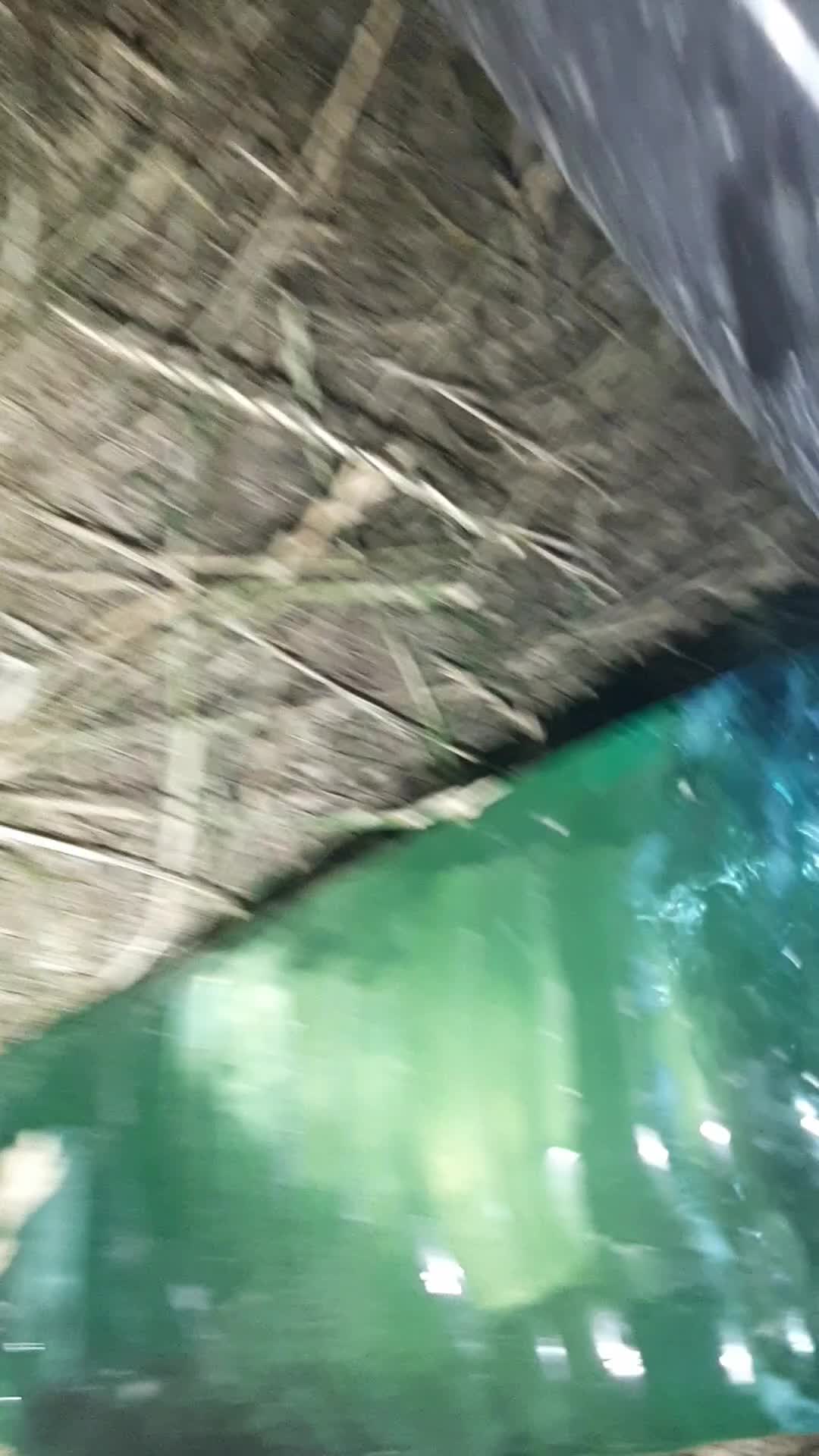 @ico (poznat kato ivaka mdfk)