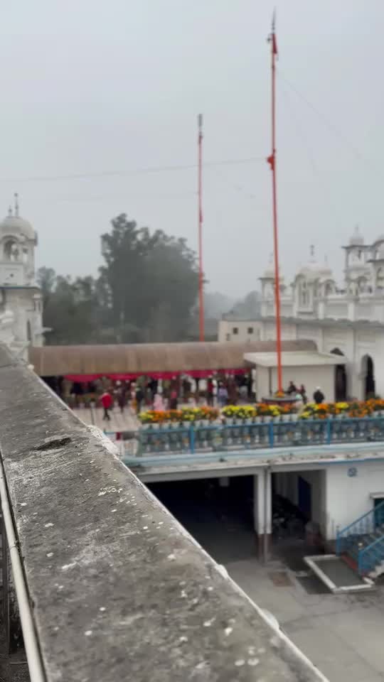 @pulpukhta_sahib