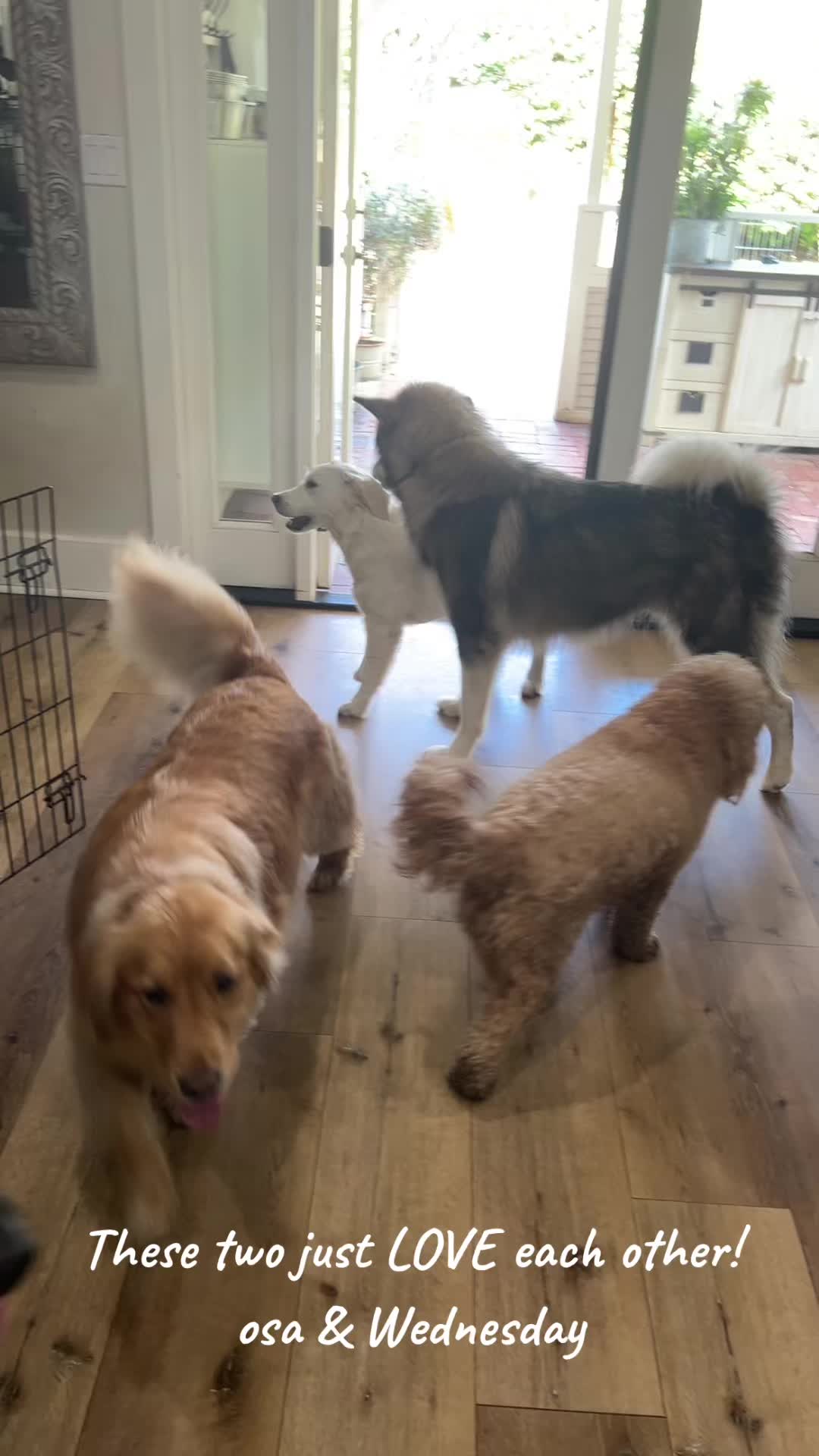 @Bed Bark and Beyond