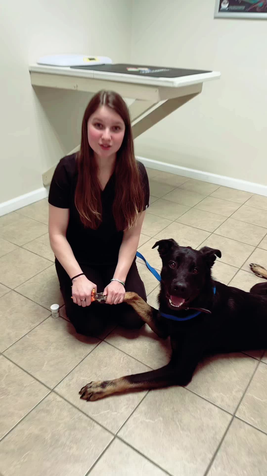 @Scott County Vet Clinic