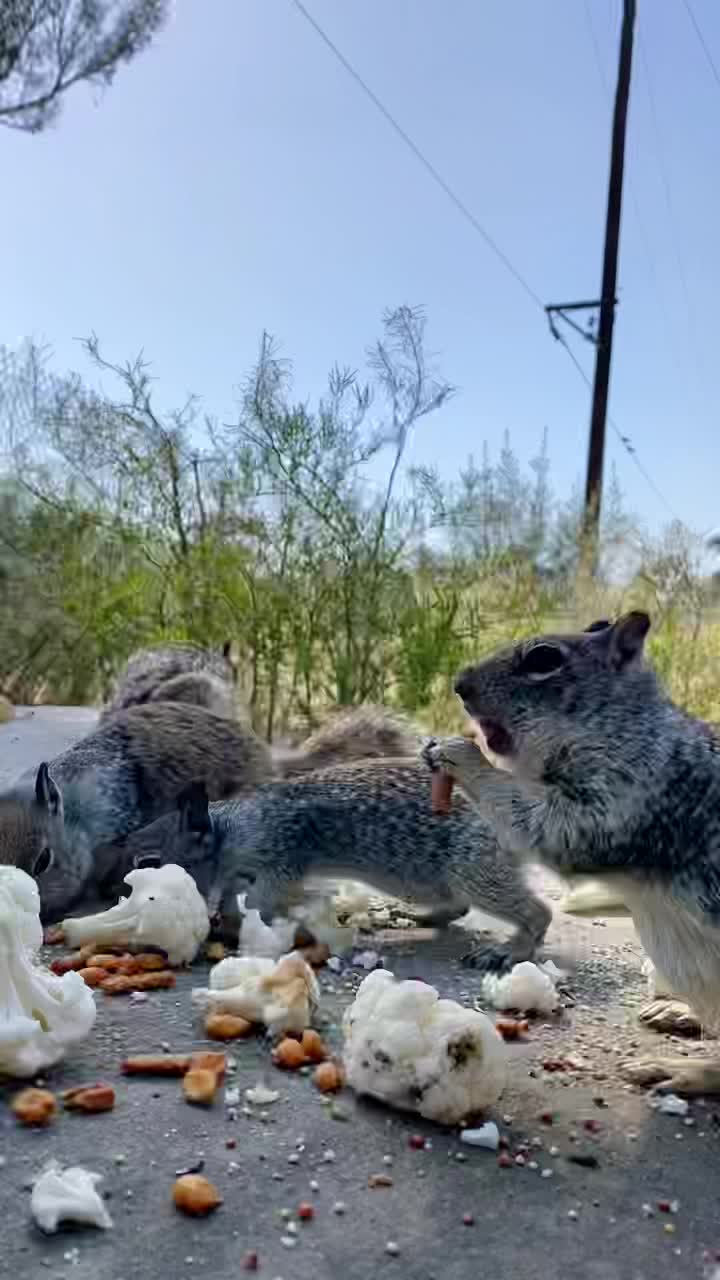 @Carmen Preciado