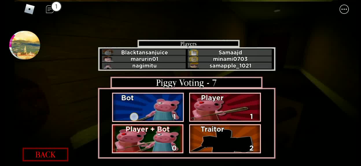 @roblox_piggyalpha21