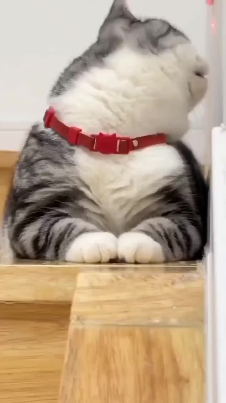 @𝓨𝓷✨🌺