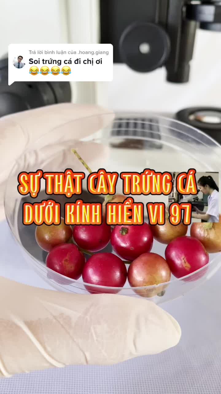 @Kính hiển vi 97