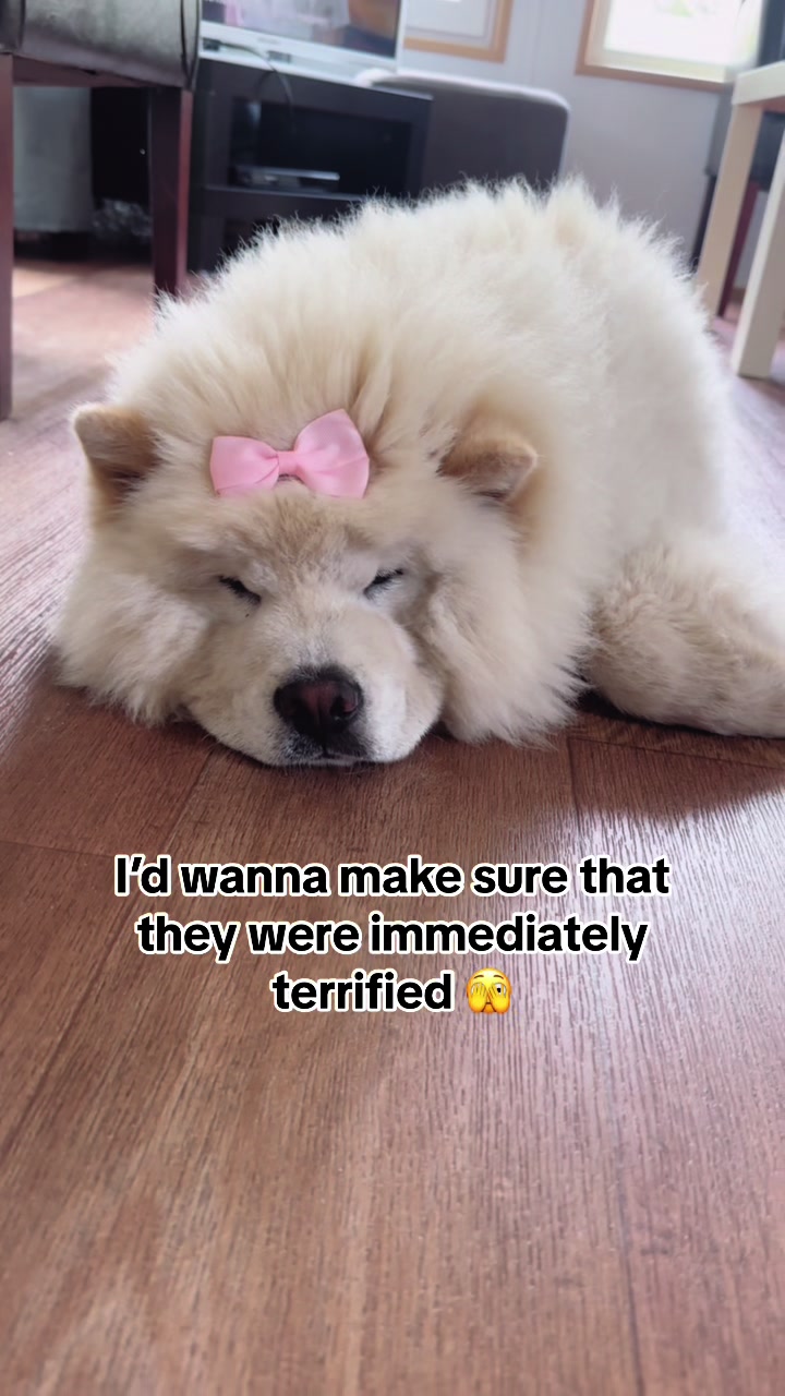 @Mochi