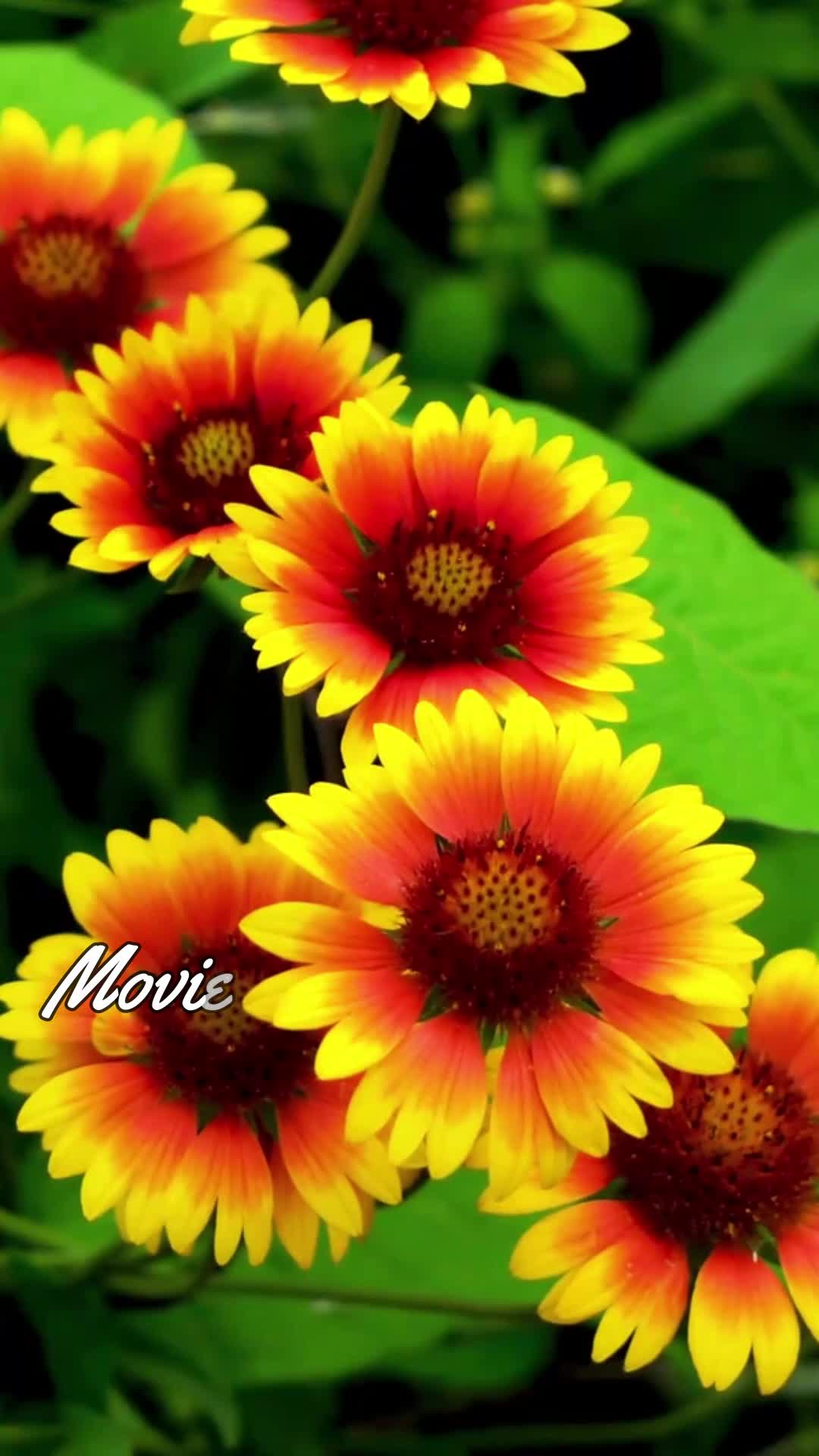 @Aneesh Kumar