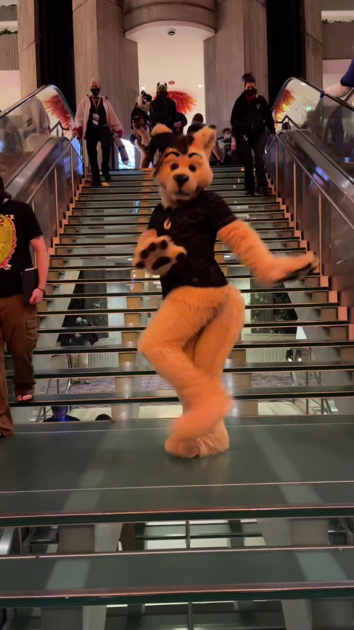 @Daxterdingo