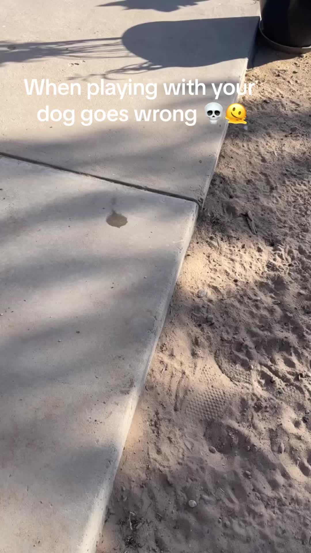 @ItsyaboyNova