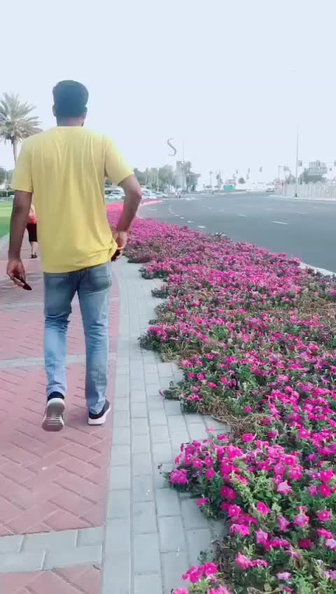 @uosᴉɐᗭ u&forall;