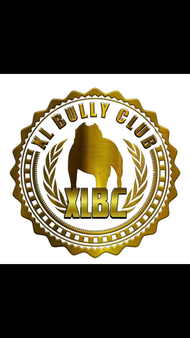 @XL BULLY CLUB