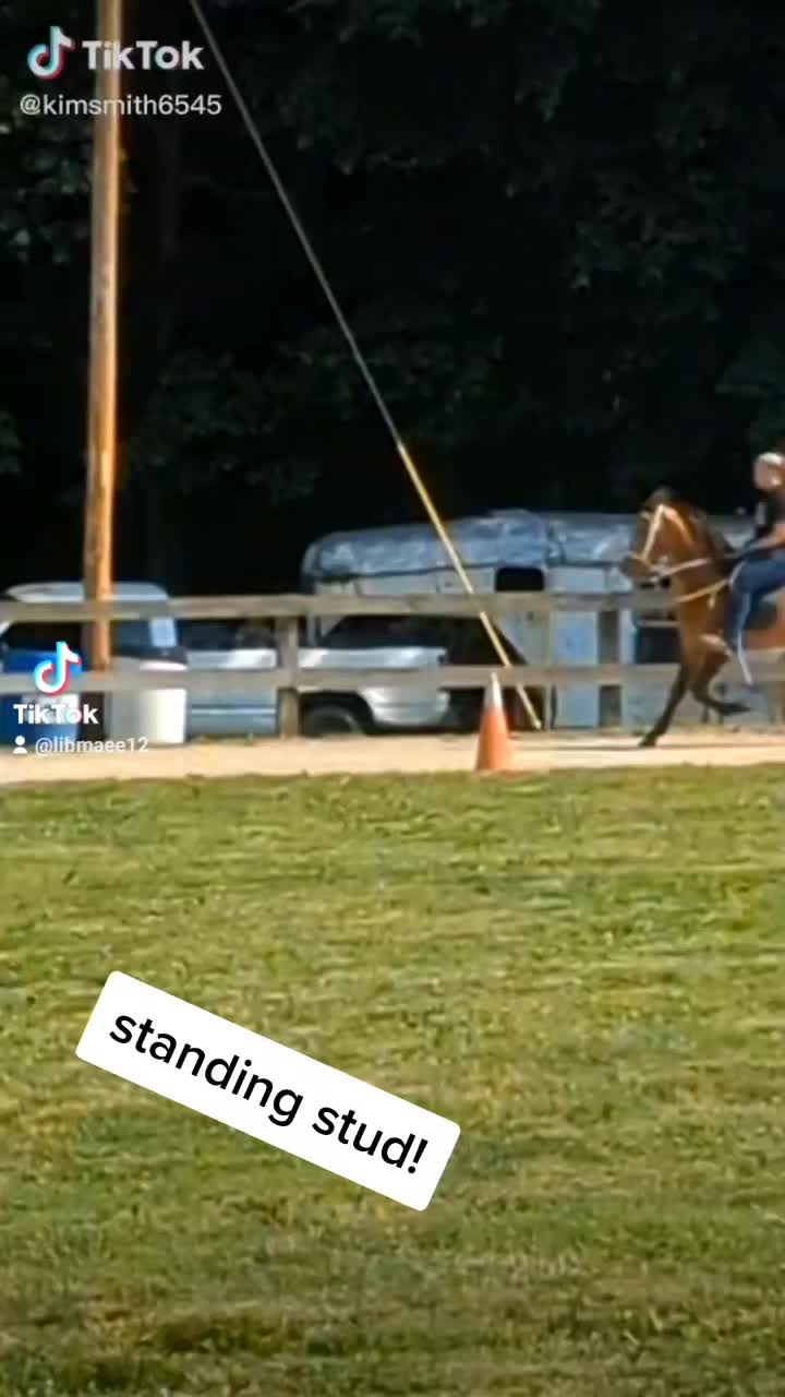 @Mane Stream Stables