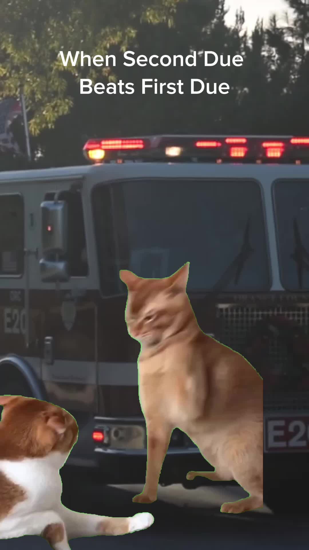 @SOCfirephoto