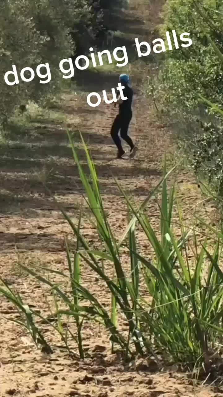 @Tik Toker