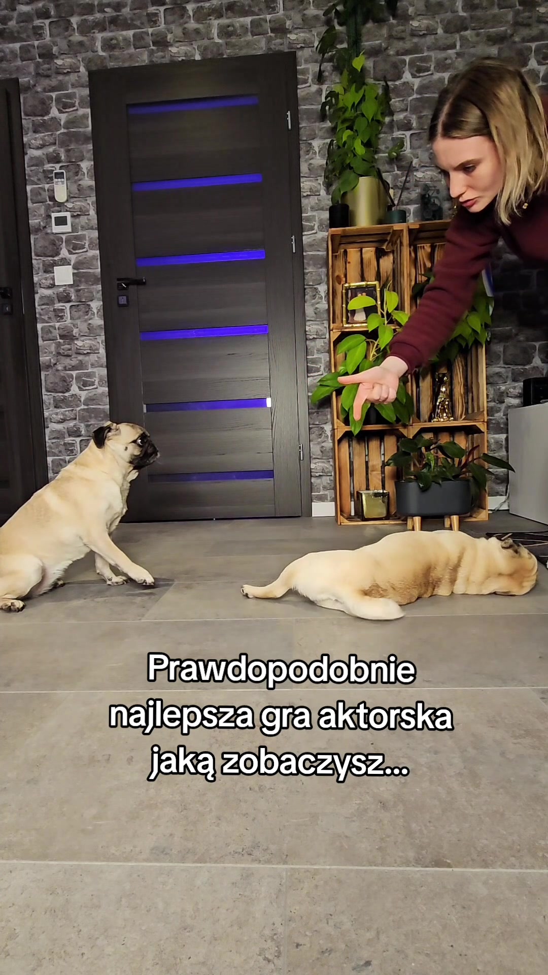 @Wesołe pieczywo