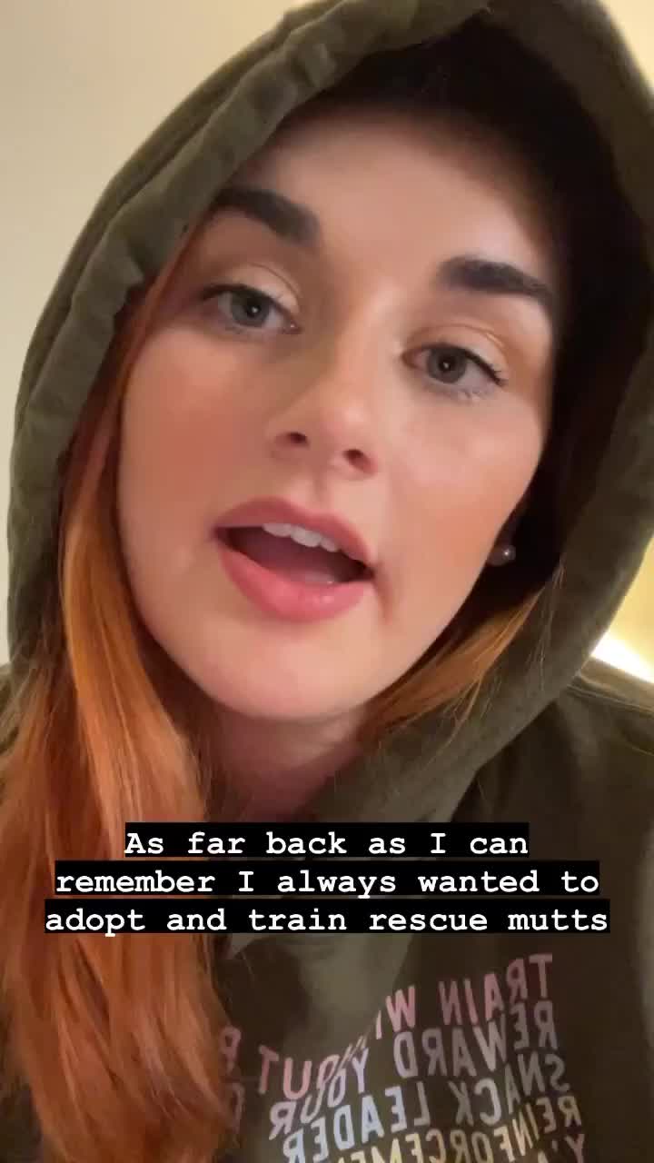 @sentientsparky
