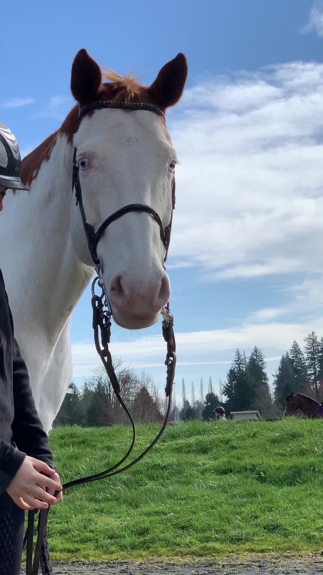 @pnwbee