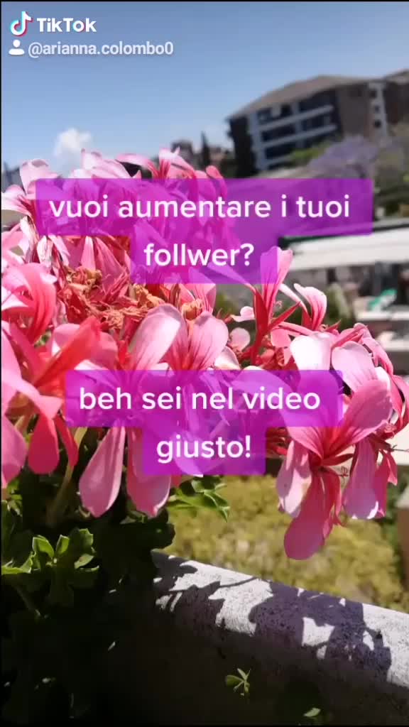 @🥺Charli🥺