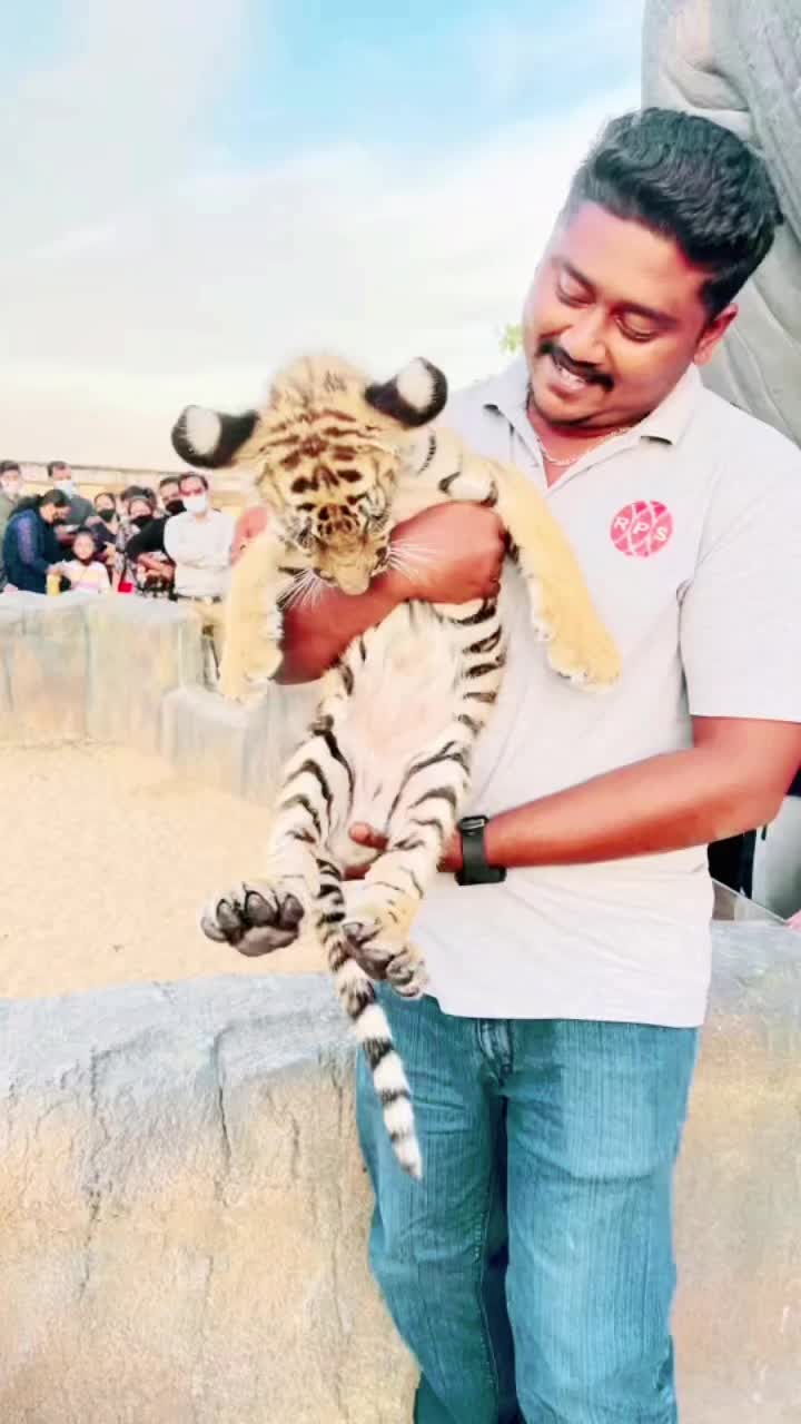@محمد شميم