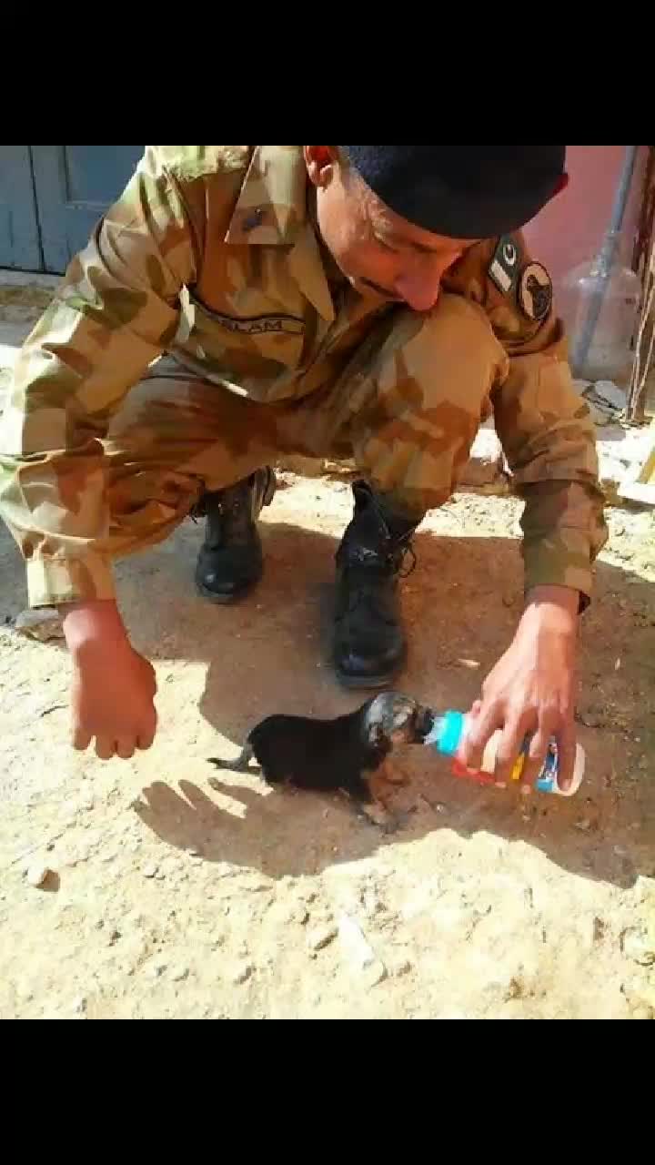 @PAK ARMY 🇵🇰