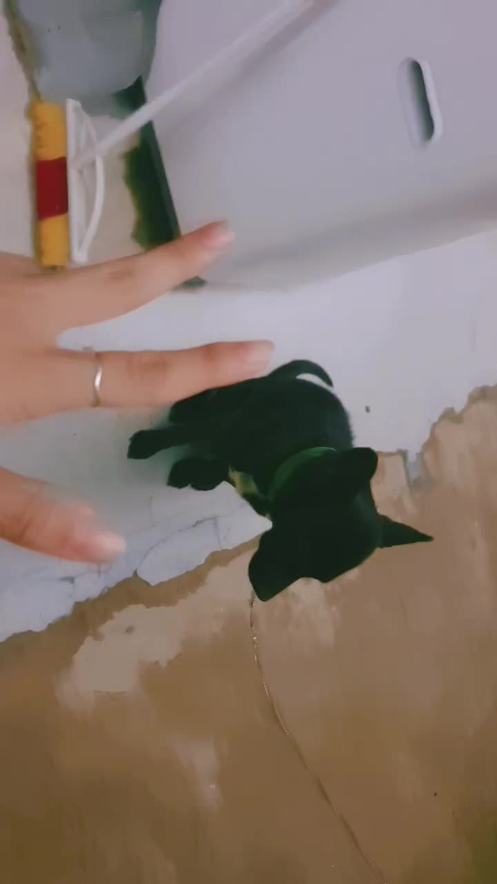 @쿸히