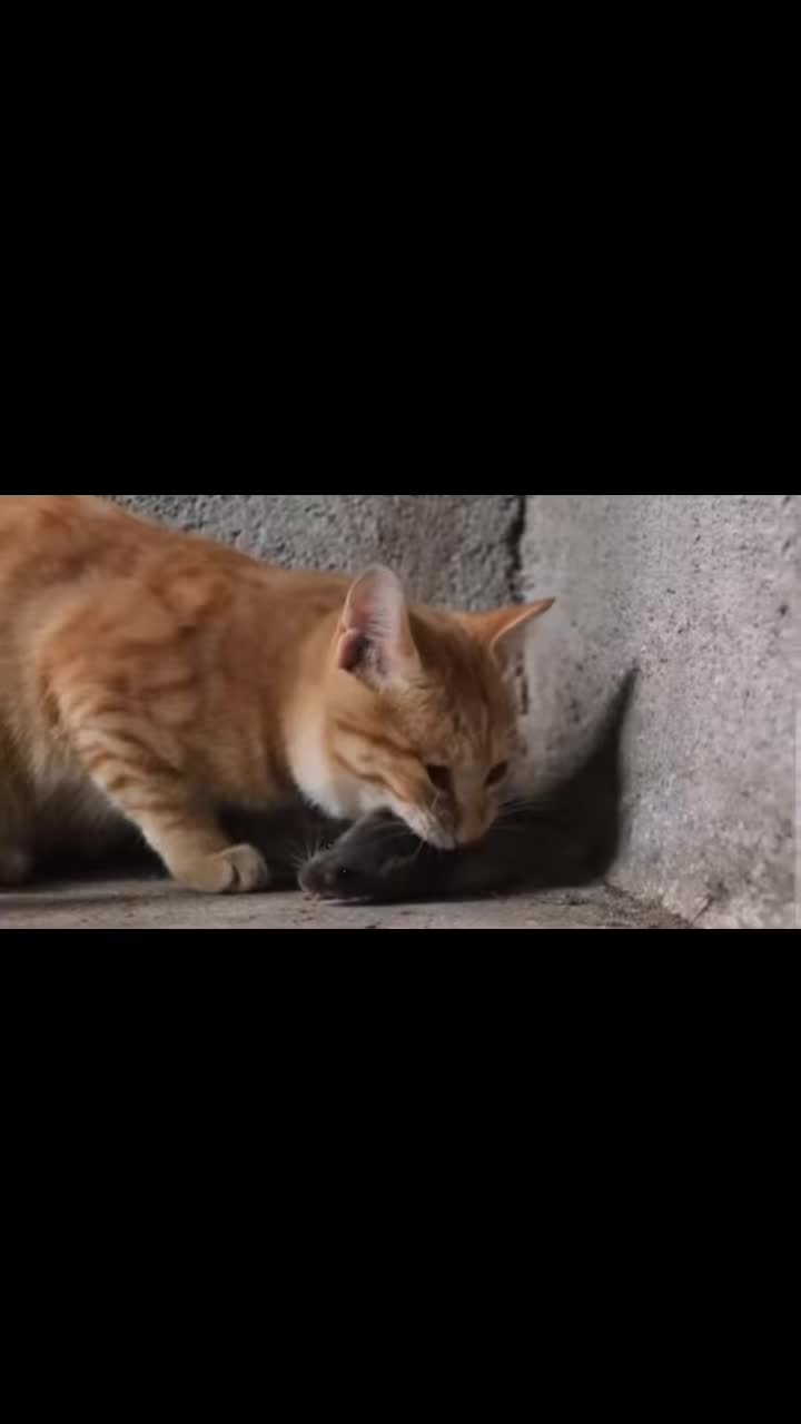 @@BOOMNAJIM