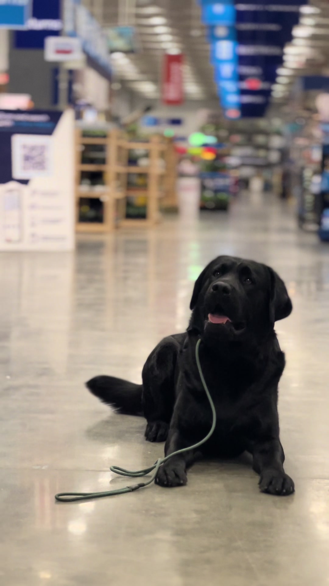 @Sav 🐕&zwj;🦺📚
