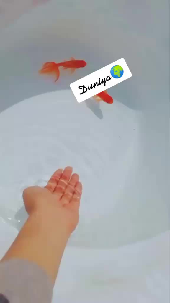 @tejika gupta