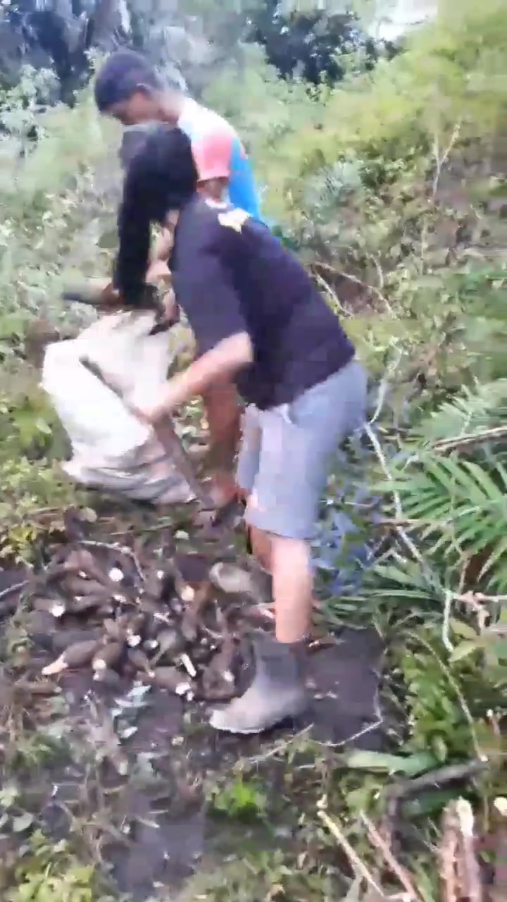 @@ednara_ribeirinha_ofc