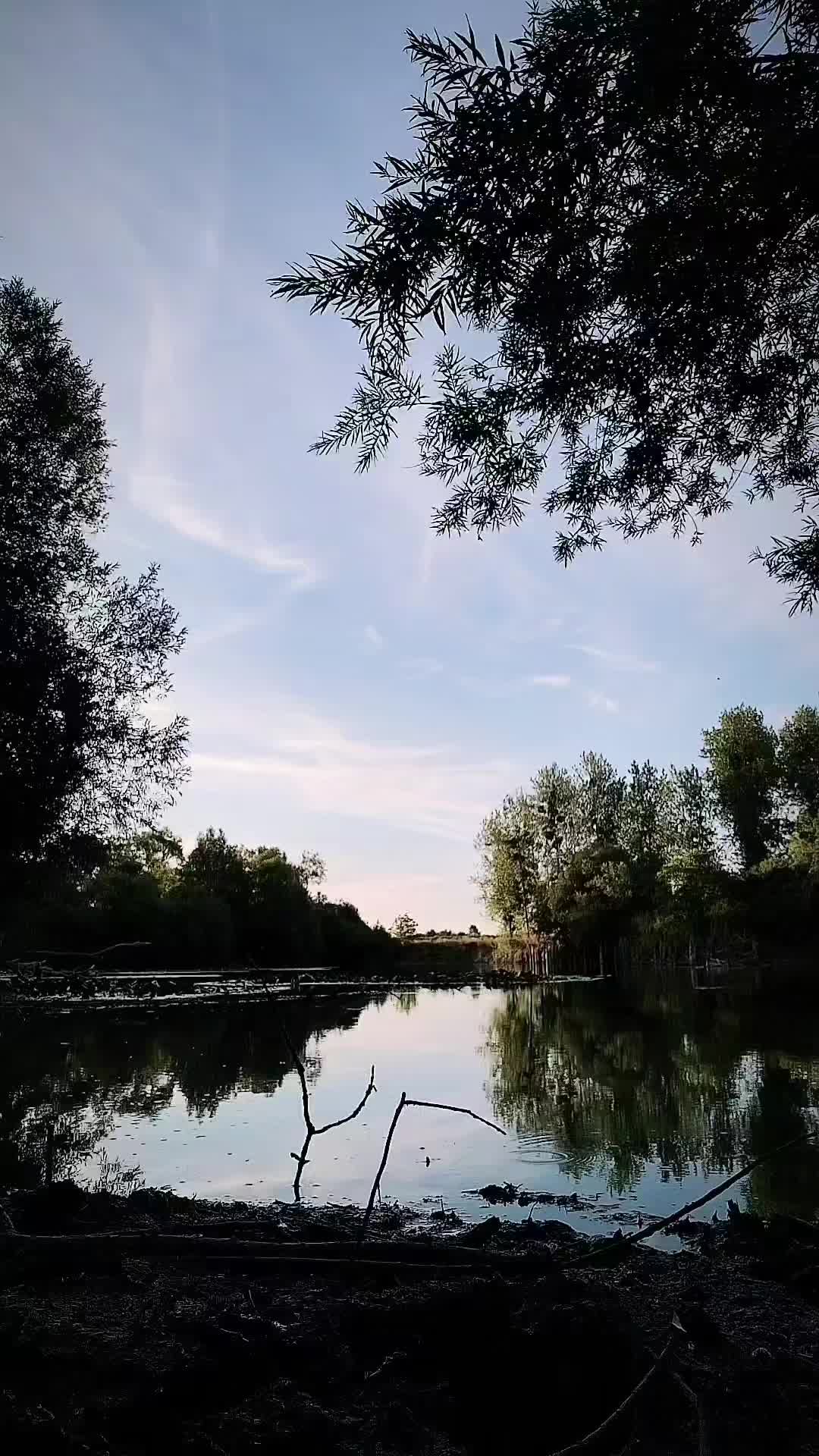 @Thomas.j_fishing