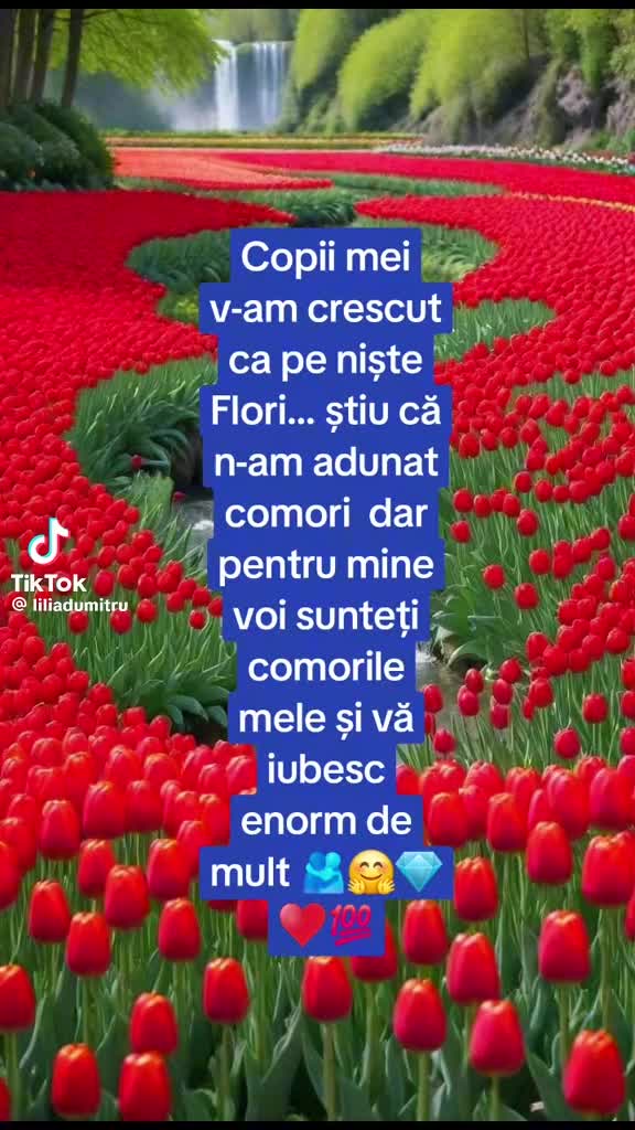 @mihaela